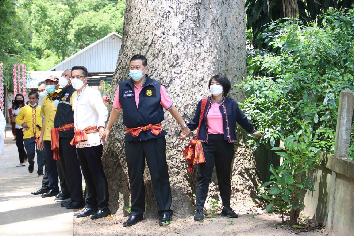 ผู้ว่าฯกาฬสินธุ์นั่งซาเล้ง ซ้อมนำเที่ยวป่าต้นยางร้อยปี
