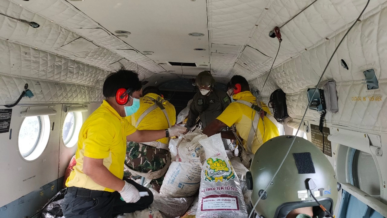โครงการปลูกพืชอาหารช้างโดยเทคนิคโปรยเมล็ดด้วยอากาศยาน เฉลิมพระเกียรติ