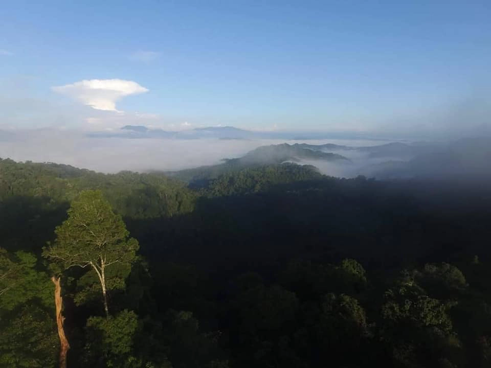 ผืนป่าแก่งกระจาน