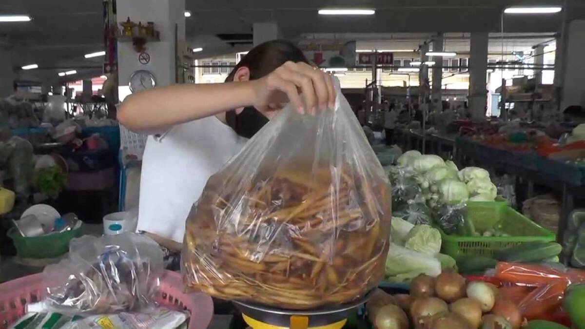 แห่ซื้อกระชายต้านโควิดส่งผลราคาพุ่งกิโลกรัมละ 180 บาท