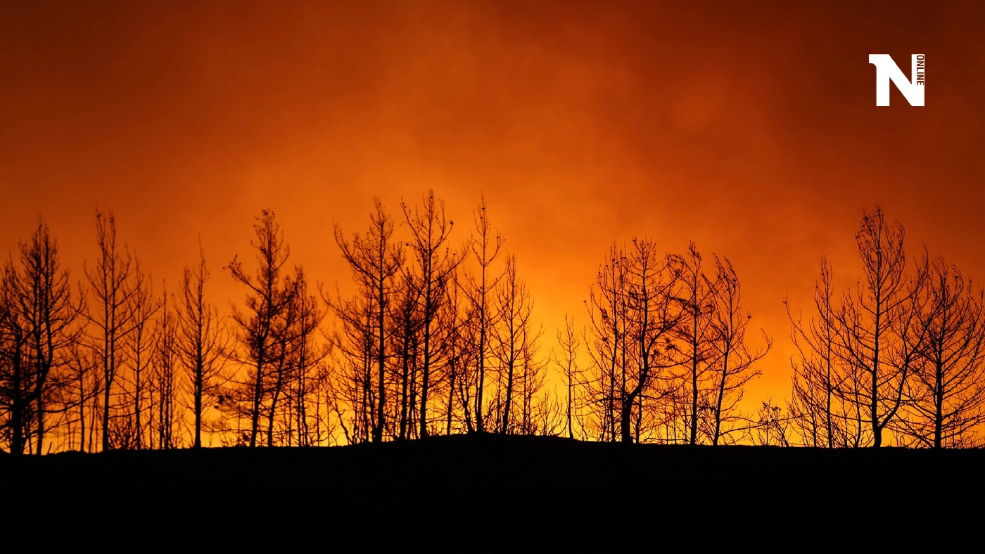 เร่งระดมเจ้าหน้าดับไฟป่าที่ตุรกี  ปะทุกว่า 60 จุดเผาเมืองตากอากาศวอด