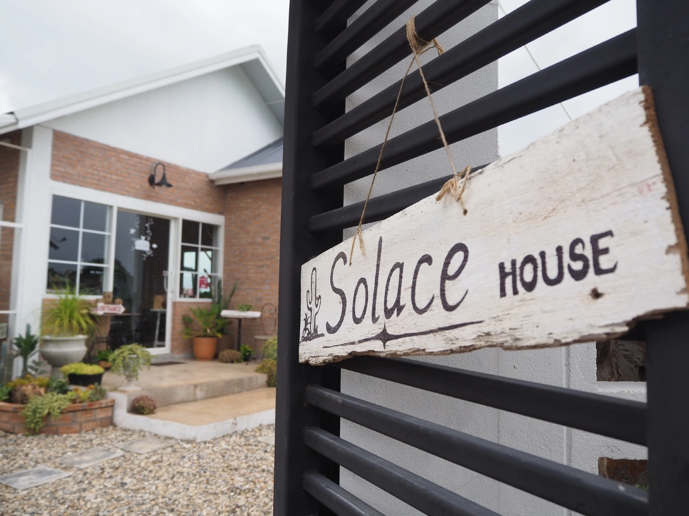 สวนกระแสโควิด!! พาชมร้านกาแฟลับกลางดงแคดตัสย่านแม่โจ้ เชียงใหม่