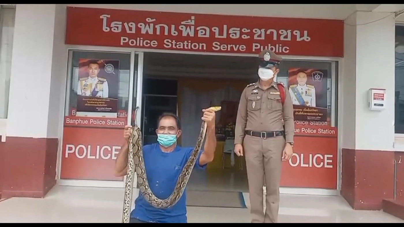 ลุงจับงูหัวขโมยกินไก่ในเล้า ขึ้นโรงพักส่งให้ตำรวจปล่อยสู่ธรรมชาติ