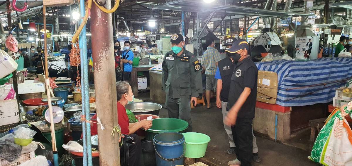 พลเมืองดีแจ้งเบาะแสจับแม่ค้าขายเต่านาสัตว์ป่าคุ้มครอง 