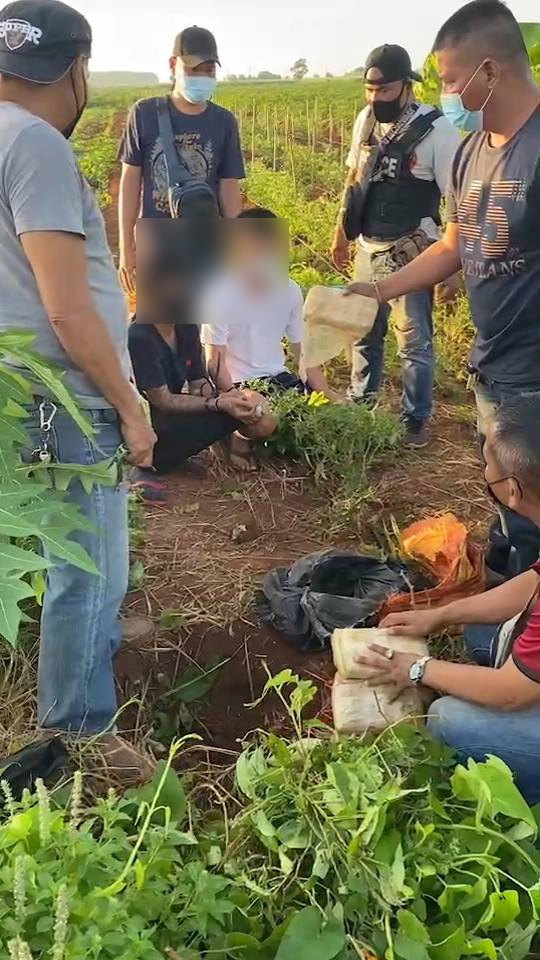 รวบหนุ่มหนองกี่รับจ้างส่งยาบ้าแลกยาบ้า ครั้งละ 200 เม็ด