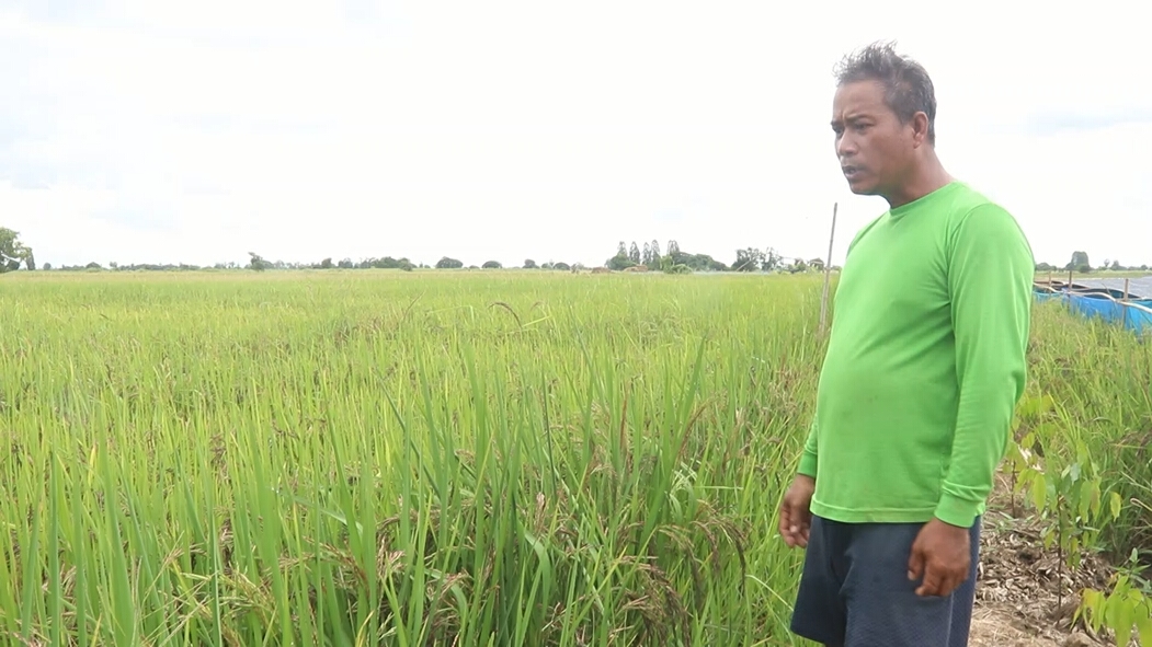 ยึดเกษตรพอเพียง-ทำครัวอาหารกลางแจ้งสู้โควิด
