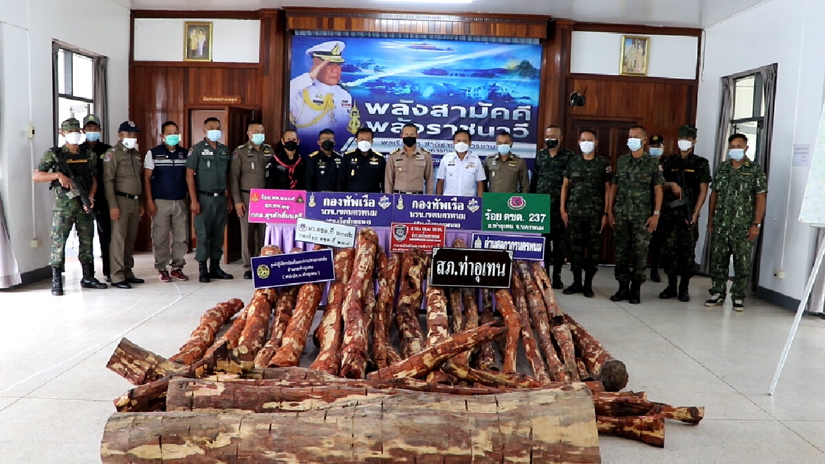 จับกุมชาวลาวและตรวจยึดไม้พะยูงขณะลำเลียงขึ้นเรือริมโขง