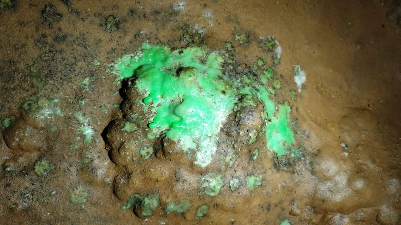 พบพิธีไสยศาสตร์ใน "ถ้ำคลัง" ทำลายธรรมชาติ