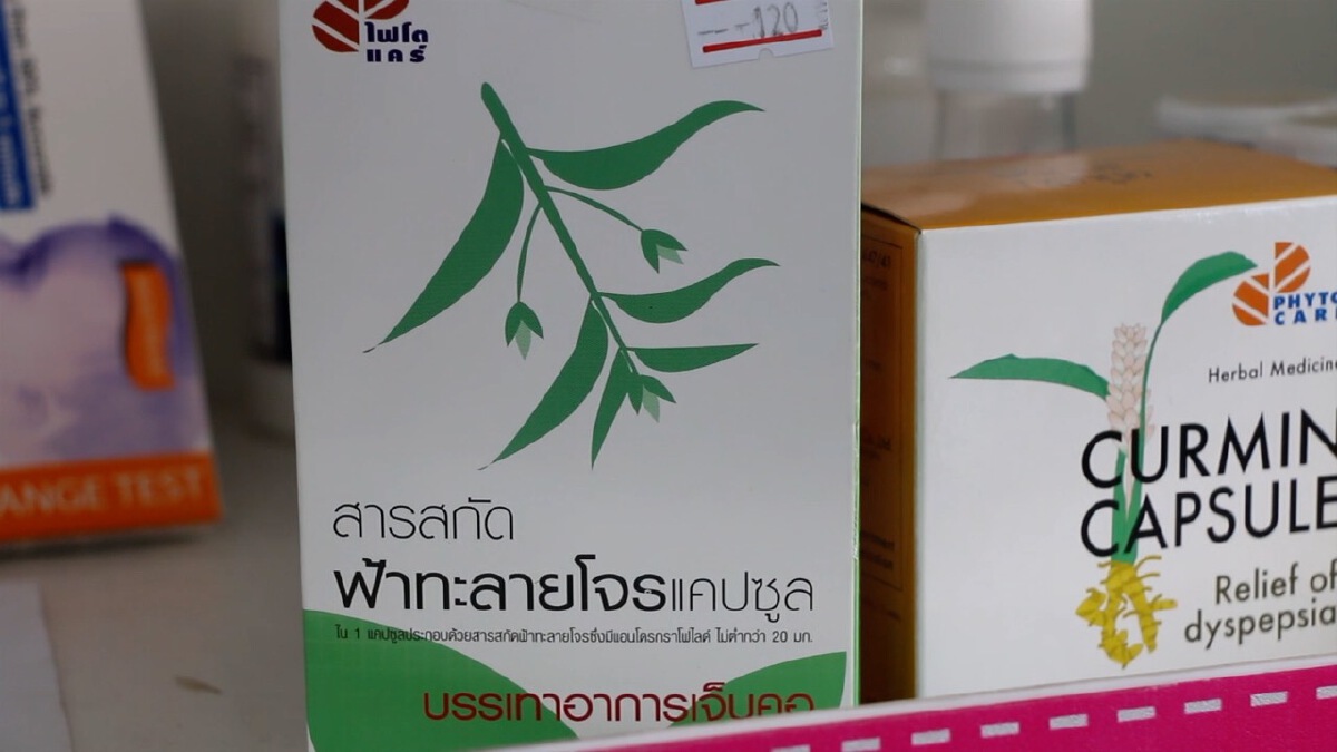 โควิดระบาด ทำยาฟ้าทะลายโจรและกระชายขาวเกลี้ยงแผงร้านขายยา