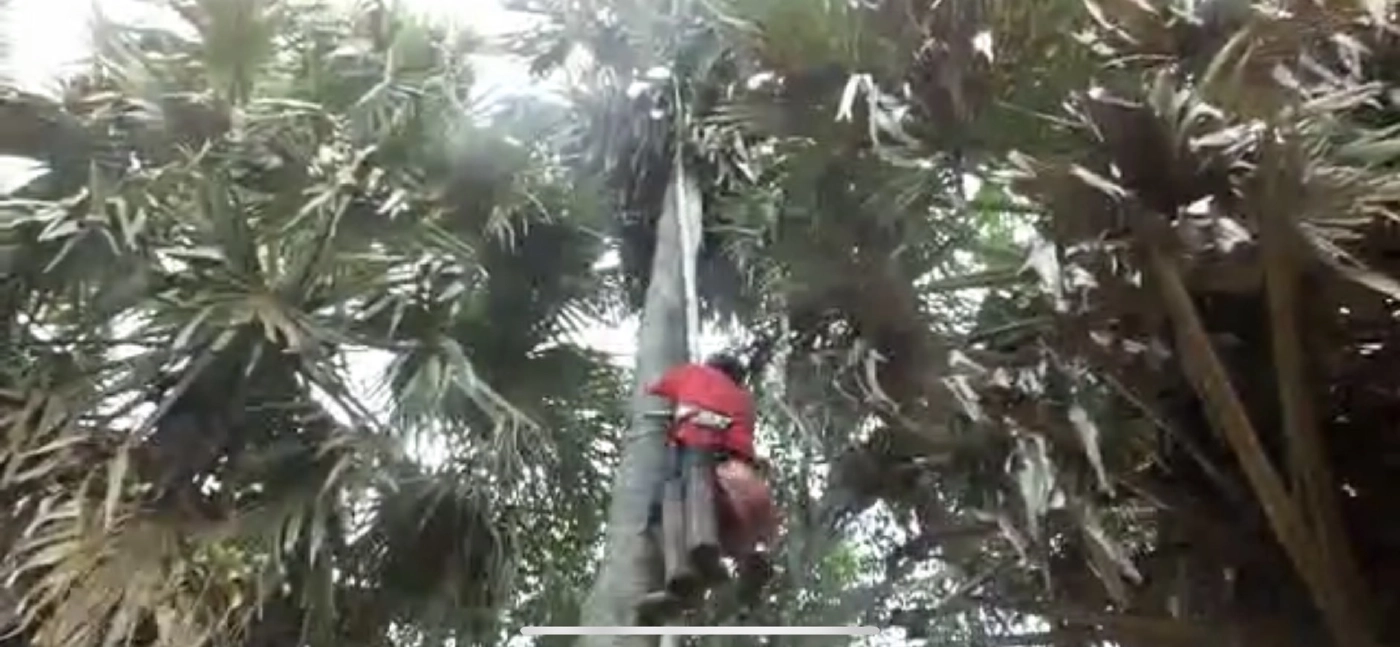 เรื่องดีที่เมืองไทย เที่ยวชม –ชิมหมู่บ้านดงป่าตาลหมื่นต้น