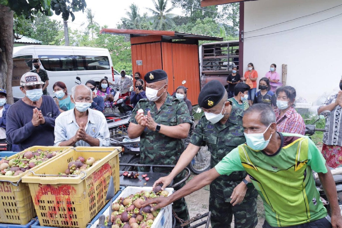 กองทัพบกร่วมกับก.พาณิชย์ ช่วยเกษตรกรมังคุดภาคใต้
