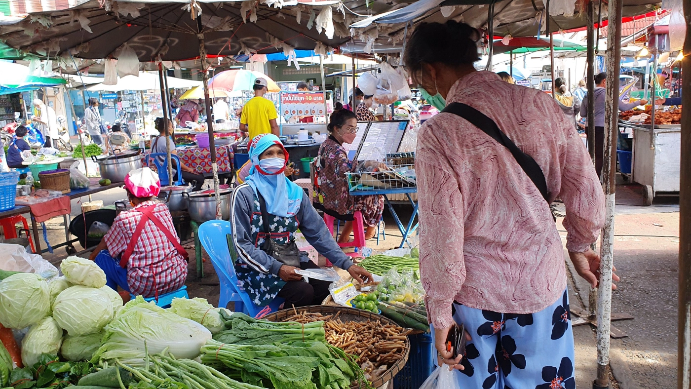 แพงขนาดไหนก็ซื้อ!พืชสมุนไพรขิง-ข่า-กระชาย ราคาพุ่งไม่พอขาย