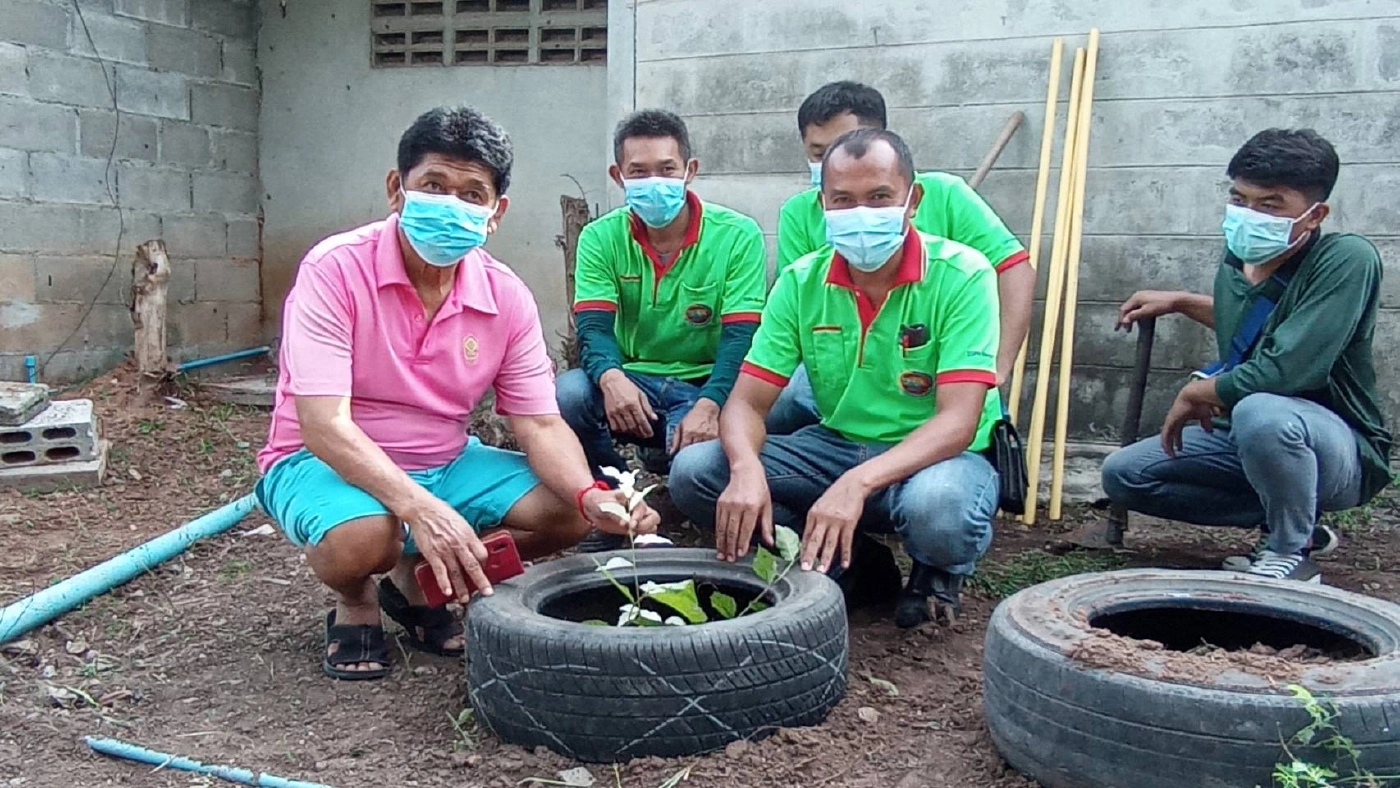 ฮือฮา...พบต้นข่อยใบสีขาว เจ้าของเชื่อจะนำโชคลาภมาให้