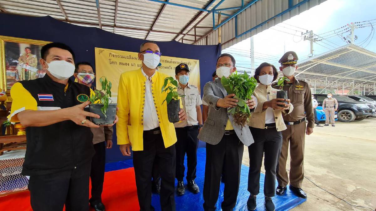 รมว.ยุติธรรมนำร่อง-ปลูก"ฟ้าทะลายโจร"2,000 ต้นป้องกันโควิด