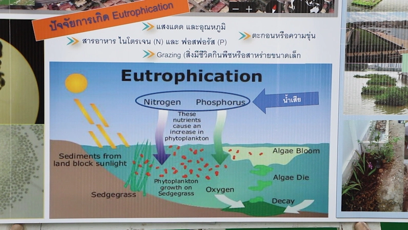เล็งสร้างระบบบำบัดน้ำเสียชุมชน แก้ปัญหาน้ำเน่าบึงหนองโคตร