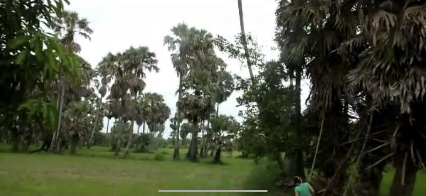 เรื่องดีที่เมืองไทย เที่ยวชม –ชิมหมู่บ้านดงป่าตาลหมื่นต้น