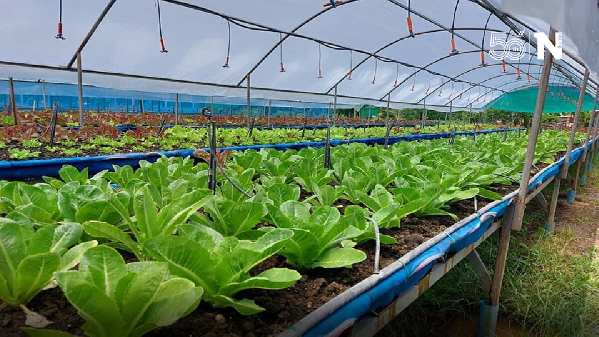ราชมงคลใช้เทคโนโลยีหนุน 1 ตำบล 1 มหาวิทยาลัย นำร่องสมาร์ทฟาร์มเมอร์