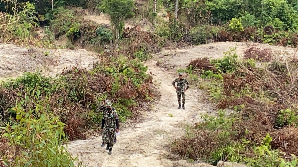 เร่งตรวจสอบนายทุนบุกรุกที่ป่าอุทยานเขาน้ำค้างกว่า 4 ไร่