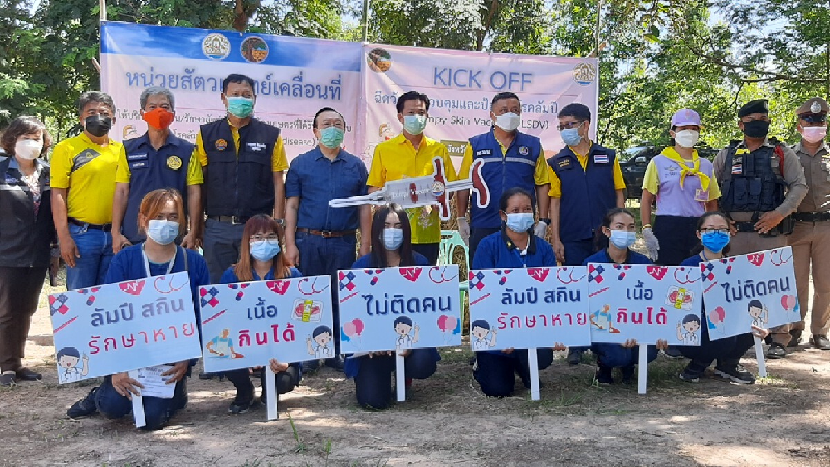 มหาสารคาม Kick off เดินหน้าฉีดวัคซีนควบคุม โรคลัมปีสกิน 13อำเภอ