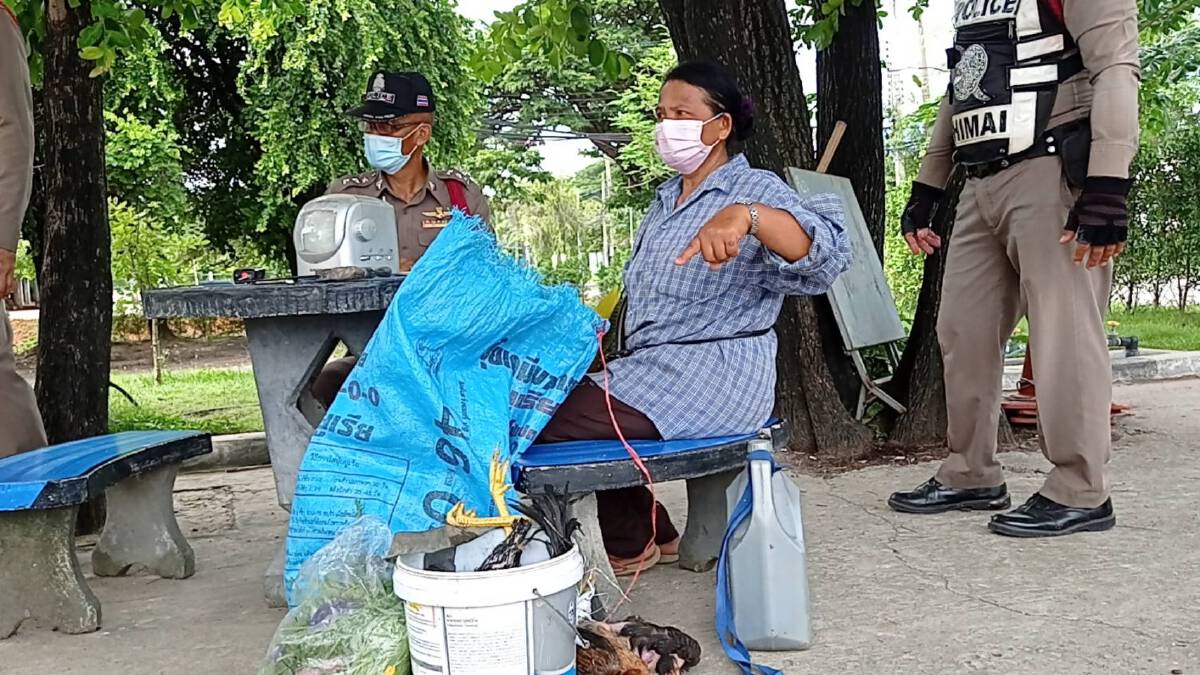 สุดทน แจ้งจับน้องชายขโมยแม่พันธุ์ไก่ชน ตำรวจรวบตัวได้ทันควัน