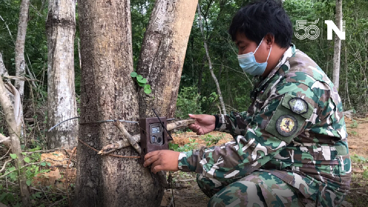 เจ้าหน้าที่ติดตั้งกล้องดักถ่ายสัตว์ป่า อุทยานแห่งชาติกุยบุรี
