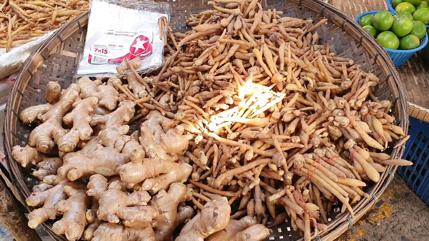 แพงขนาดไหนก็ซื้อ!พืชสมุนไพรขิง-ข่า-กระชาย ราคาพุ่งไม่พอขาย