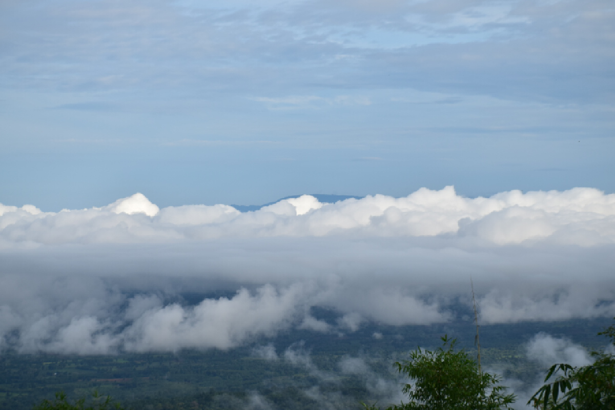 ชม"ทะเลหมอก"สวยงาม ที่ภูหินร่องกล้า