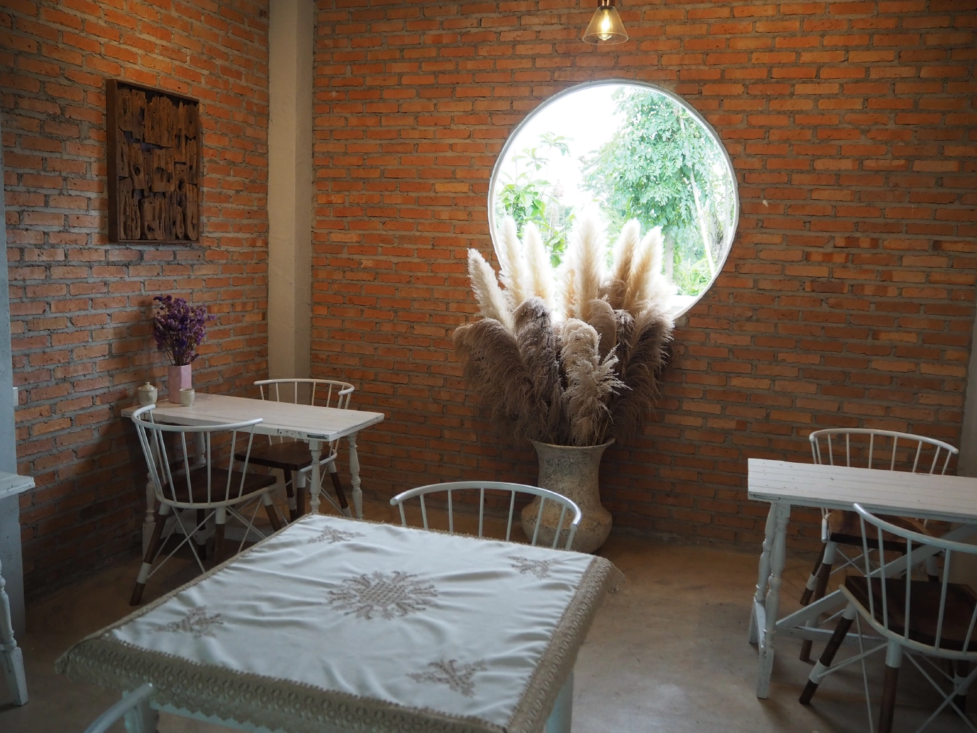 สวนกระแสโควิด!! พาชมร้านกาแฟลับกลางดงแคดตัสย่านแม่โจ้ เชียงใหม่