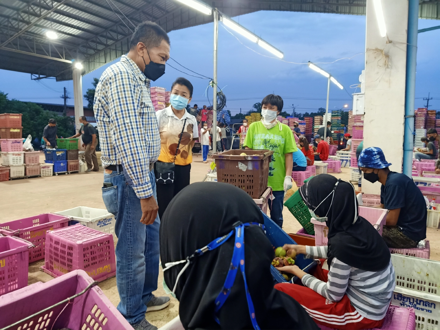นราธิวาสเปิดศูนย์ฯผลไม้ชายแดนใต้คัดเกรดส่งขายห้างฯดังพื้นที่ล็อกดาวน์