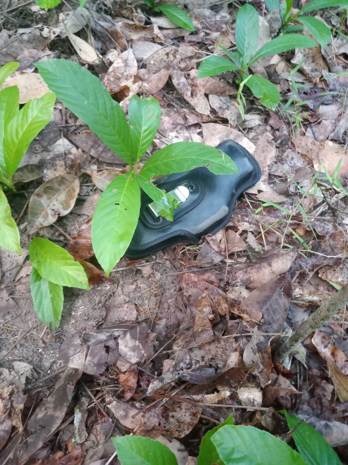 ปะทะเดือดโจรใต้วายร้าย ยาการียา บาโง หมายจับเพียบ ขณะนี้ยังปิดล้อมเจรจา