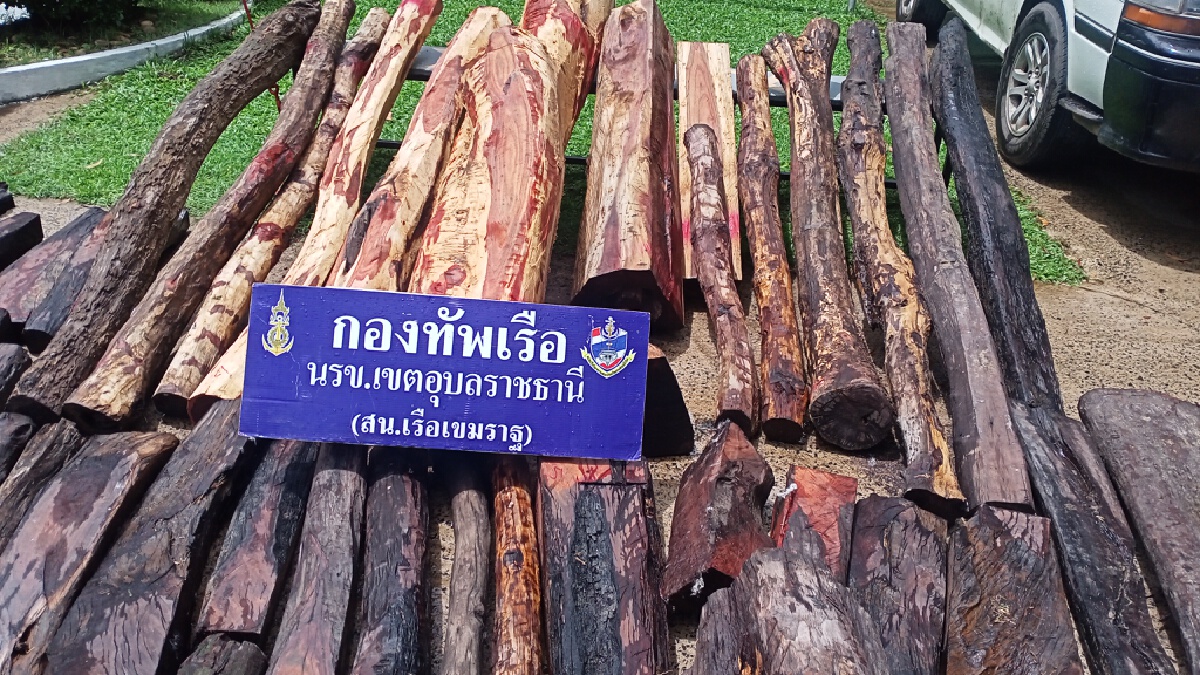ไม้พะยูงของใครทิ้งไว้เต็มคันรถ ติดต่อรับด่วนกับนรข.เขตอุบลราชธานี