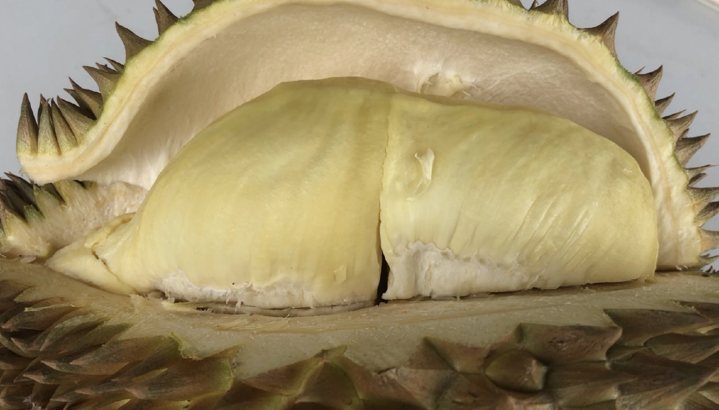 ล็อกดาวน์ชายแดนใต้ฉุดราคา"ทุเรียน-มังคุด"