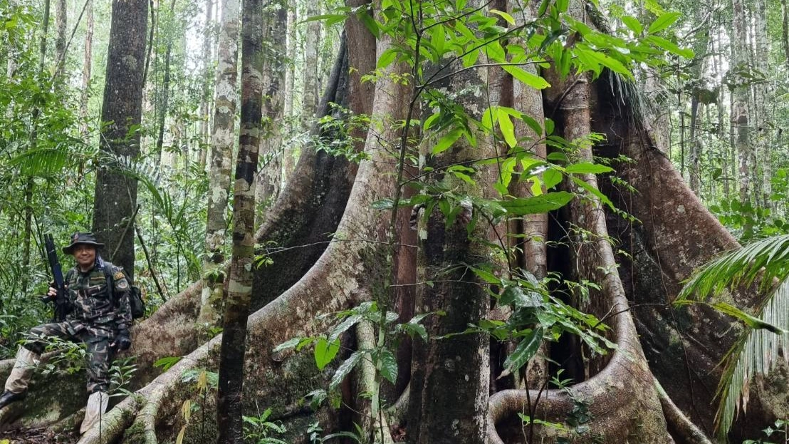 หน.อุทยานเขาใหญ่นำทีมลุยสำรวจผืนป่าวิเคราะห์ปัจจัยเสี่ยง