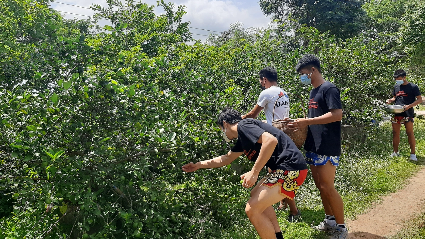 โควิด-19 พ่นพิษ ปรับเปลี่ยนค่ายมวย ให้เป็นร้านกาแฟสุดชิค!