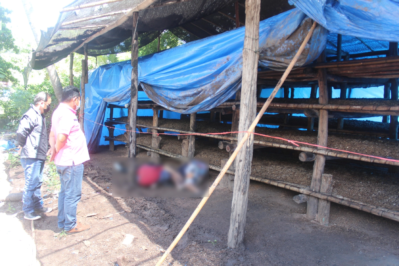 ช็อก!เสียชีวิต3 ศพคาโรงเพาะเห็ดฟาง ตำราจคาดขาดออกซิเจน