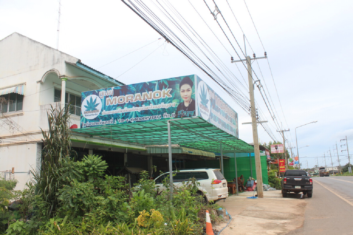 หมอโบราณสอนสูตรยารักษาโควิดและแจกพันธุ์ฟ้าทะลายโจรฟรีแก่ผู้สนใจ