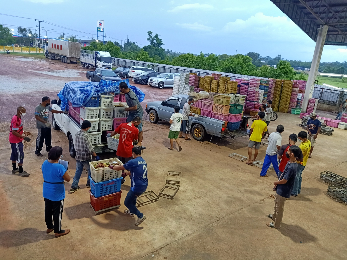 นราธิวาสเปิดศูนย์ฯผลไม้ชายแดนใต้คัดเกรดส่งขายห้างฯดังพื้นที่ล็อกดาวน์