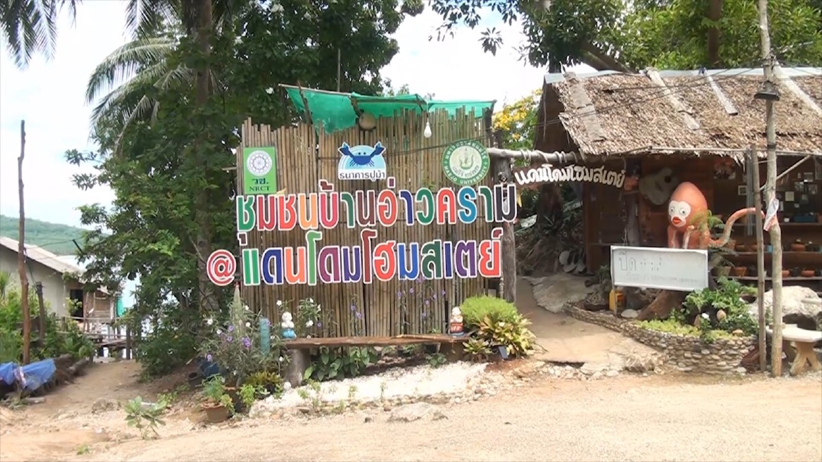 หนุ่มสู้วิกฤติ ผันตัวเพาะกล้วยไม้พันธุ์"ขาวชุมพร"รายได้งาม