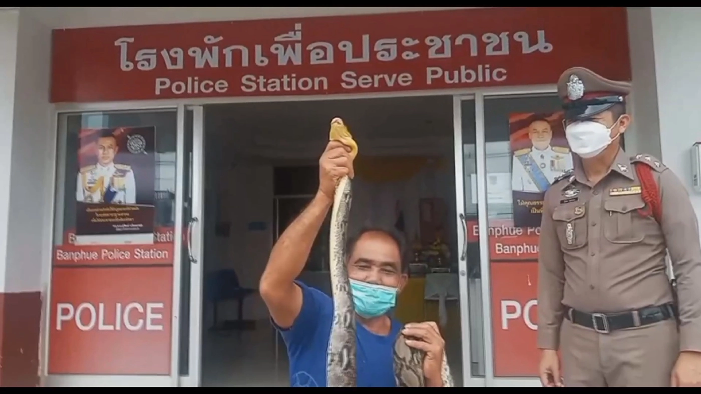 ลุงจับงูหัวขโมยกินไก่ในเล้า ขึ้นโรงพักส่งให้ตำรวจปล่อยสู่ธรรมชาติ