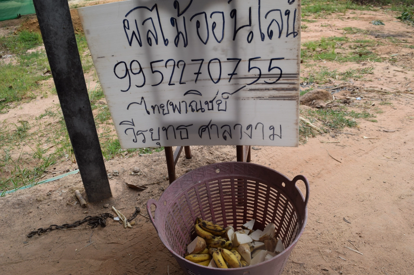 ผุดไอเดียเปิดแสดงไลฟ์ผ่านยูทูป ขายผลไม้ออนไลน์หารายได้เลี้ยงช้าง