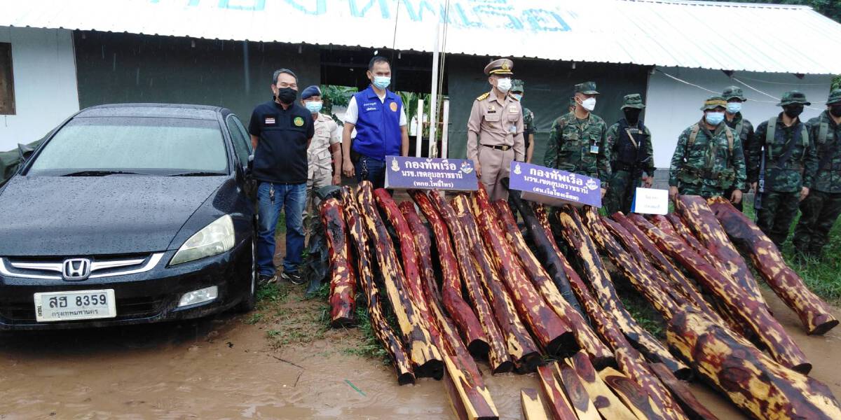 นรข.ฝ่าสายฝนลุยยึดรถเก๋งขนไม้พะยูง30ท่อนผู้ต้องหา1ราย