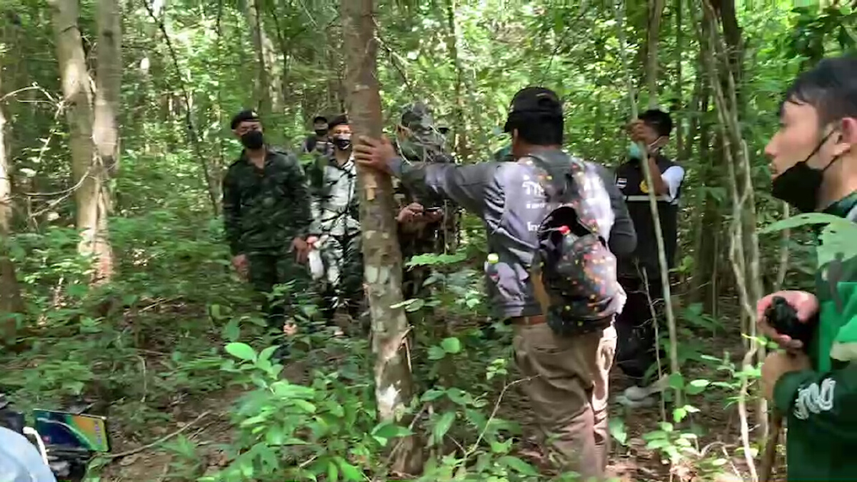 เร่งตามหาคุณตาอายุ80ปีหลงป่าในเขตอุทยานแห่งชาติภูผายล
