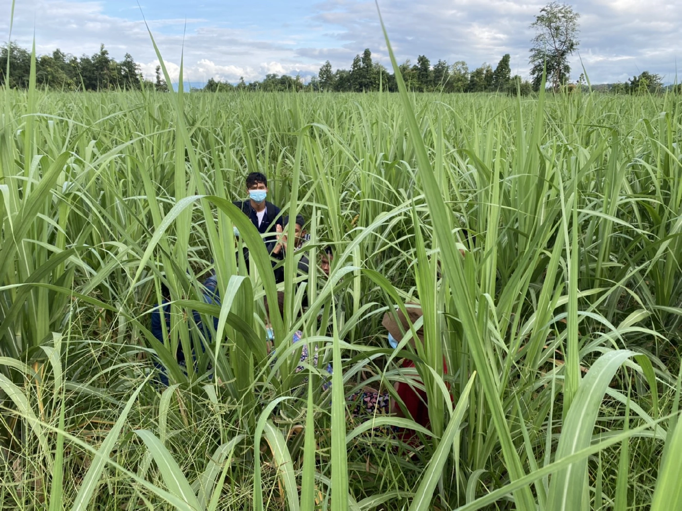 ทหารดักจับขบวนการขนแรงงานต่างด้าวไม่สนโควิดระบาด 14 คน