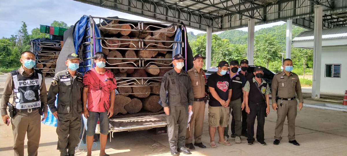 รวบ 2ผู้ต้องหาขนไม้เถื่อน-หวังส่งข้ามจังหวัด