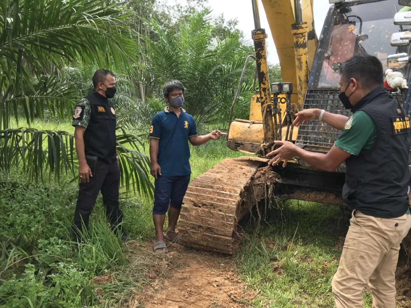 แก๊งมอดไม้ ลอบตัดต้นยางนา 200 ปี มูลค่ากว่า 1 ล.เชื่อเจ้าหน้าที่รัฐมี่เอี่ยว