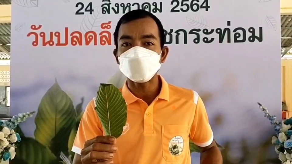 "สมศักดิ์" ลงพื้นที่สุราษฎร์ฯ เตรียมปลดล็อคพืชกระท่อม ดีเดย์ 24 สิงหา