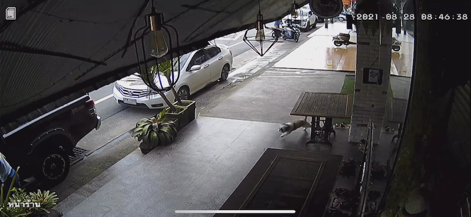 หวิดสยอง วงจรปิดจับภาพกันสาดถล่มเฉียดตาย