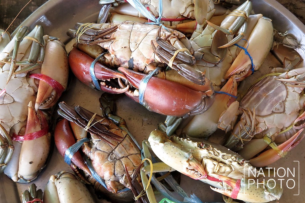 สดจากลุ่มน้ำทะเลสาบ ครัวขนาดใหญ่ของชาวสงขลา