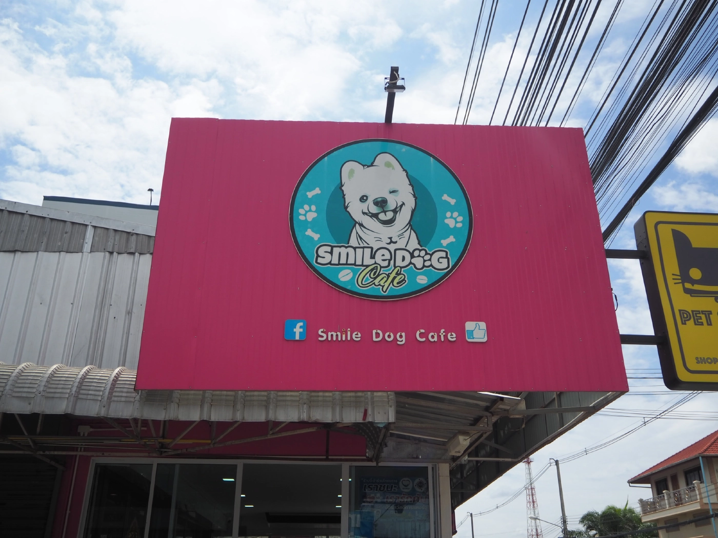 คาเฟ่หมาเชียงใหม่ ประกาศหาบ้านใหม่ให้น้องหมา