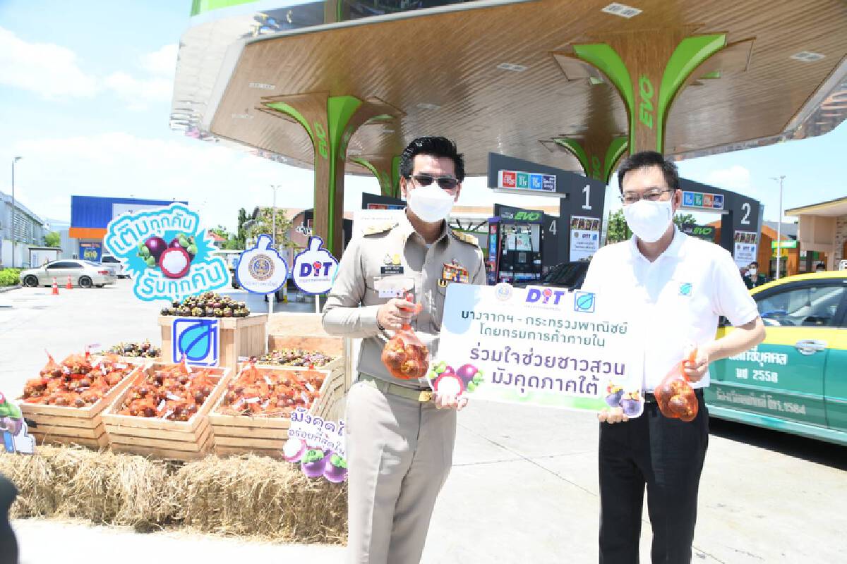 พาณิชย์ผนึกเอกชนรับซื้อมังคุดช่วยเกษตรกร
